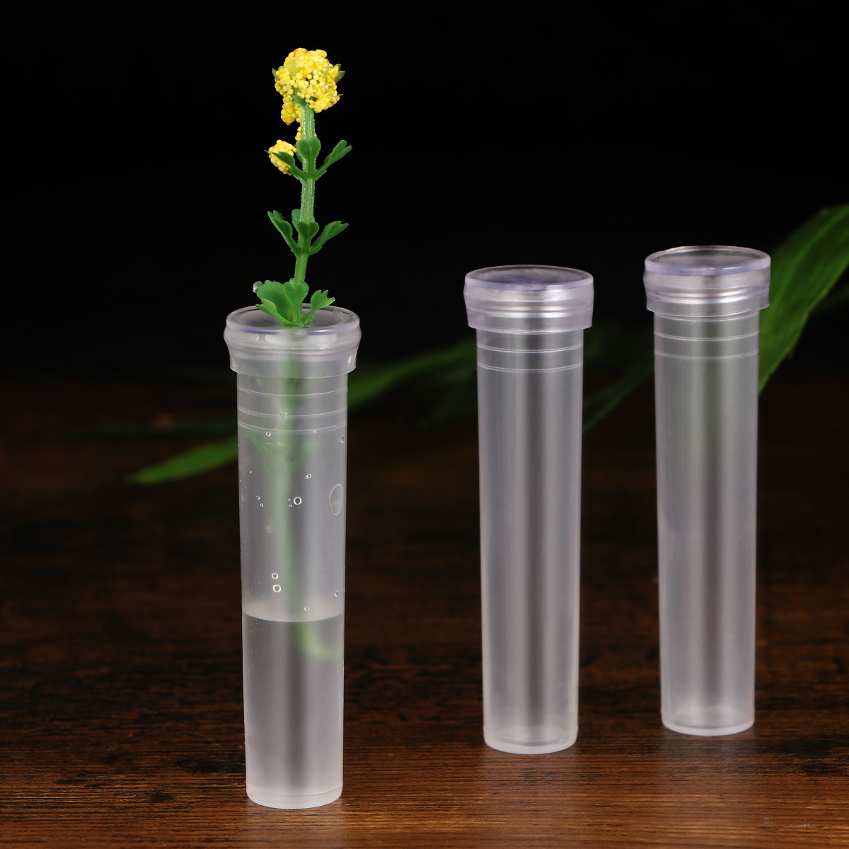 50Pcs Nutrition Flower Tubes P - Florist Flower Supply 评论和价格
